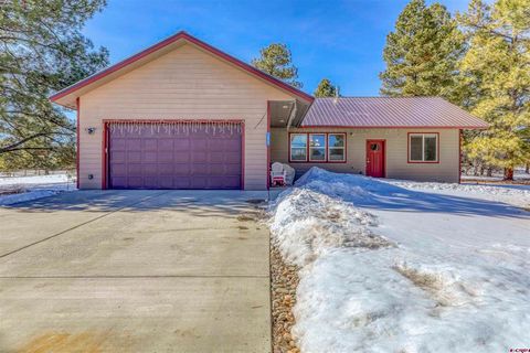Photo of 1690 Lake Forest Circle, Pagosa Springs, CO 81147 (MLS # 832010)