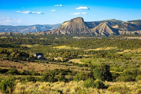 28429 H.4 Road Cahone CO 81320