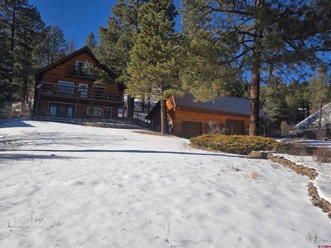 Photo of 62 Jackson Ct, Pagosa Springs, CO 81147 (MLS # 832020)