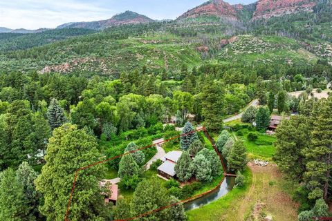 163 County Road 202 Durango CO 81301