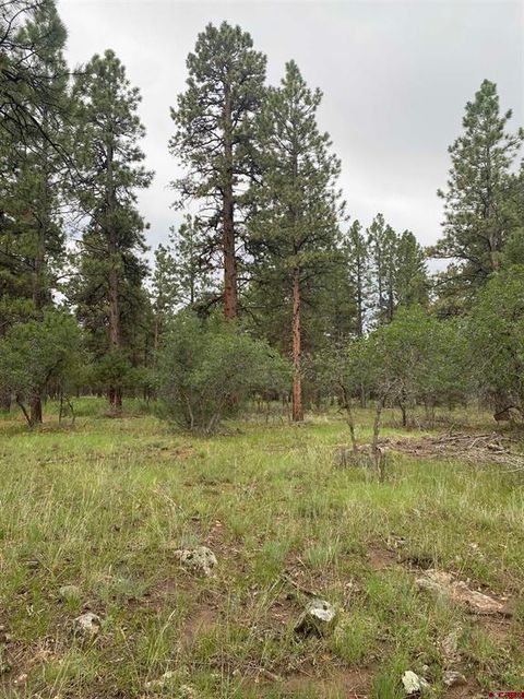 Lot 430 S Badger Trail Ridgway CO 81432