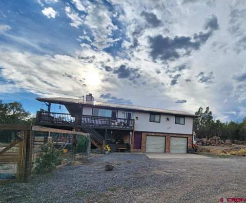 18697 Ward Creek Road Cedaredge CO 81413