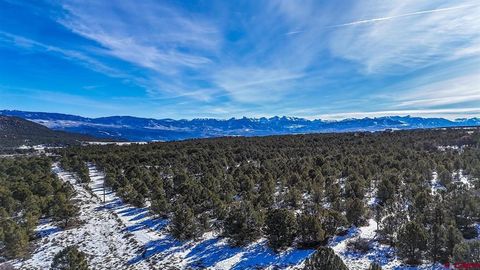 Photo of 6101 County Road 1 Road, Montrose, CO 81403 (MLS # 831179)
