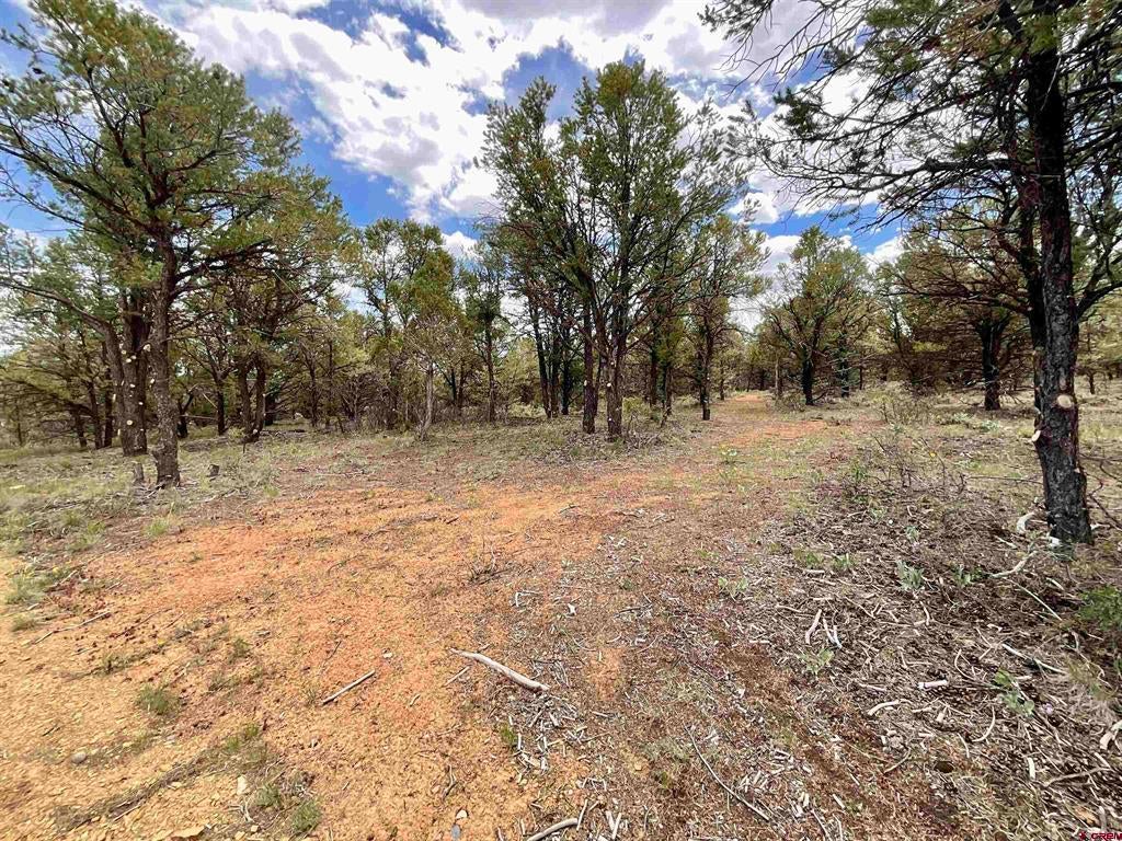 6101 County Road 1 Road