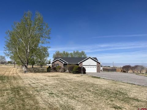 Photo of 11623 Joyful Way, Montrose, CO 81401 (MLS # 833384)