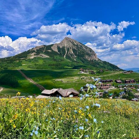 Photo of 20 Buttercup Lane, Mt. Crested Butte, CO 81225 (MLS # 830844)