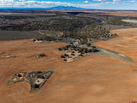 3995 County Road P Dove Creek CO 81324