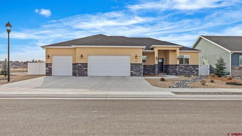 Photo of 919 Pilot Knob Avenue, Montrose, CO 81403 (MLS # 832675)