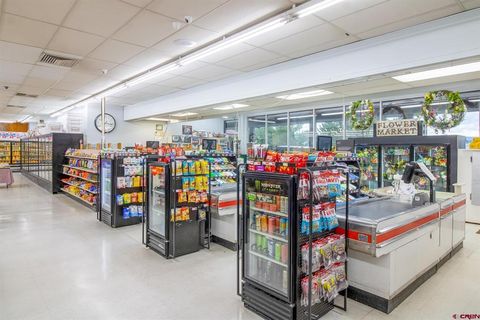 381 Colorado Drive Drive Bayfield CO 81122