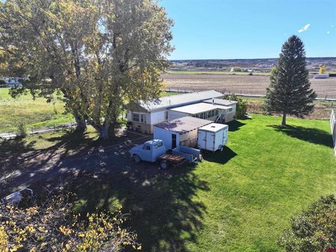 18563 Hwy 550 Highway Montrose CO 81403