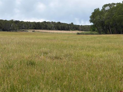 Photo of TBD CactusPark Road, Cedaredge, CO 81413 (MLS # 836202)