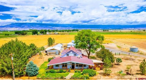 17095 B Road Delta CO 81416