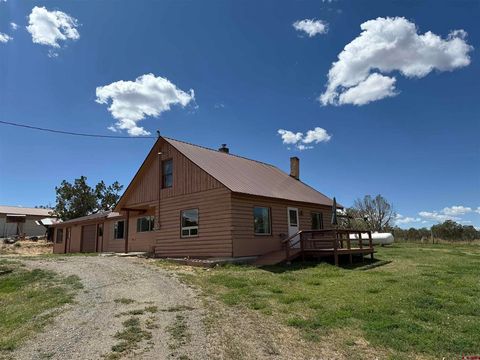 34706 Fruitland Mesa Road Crawford CO 81415