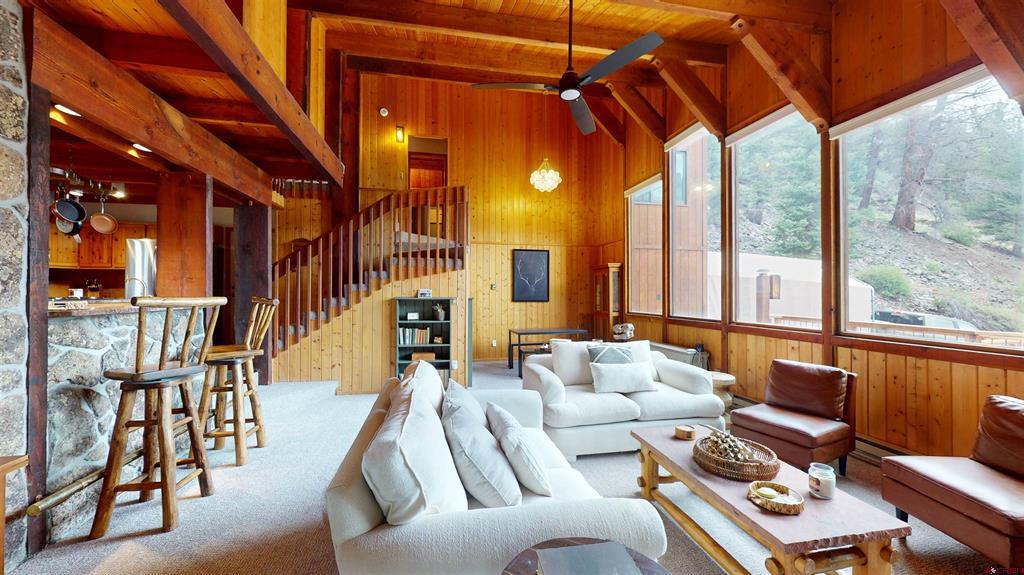 650 Hinsdale County Road 33