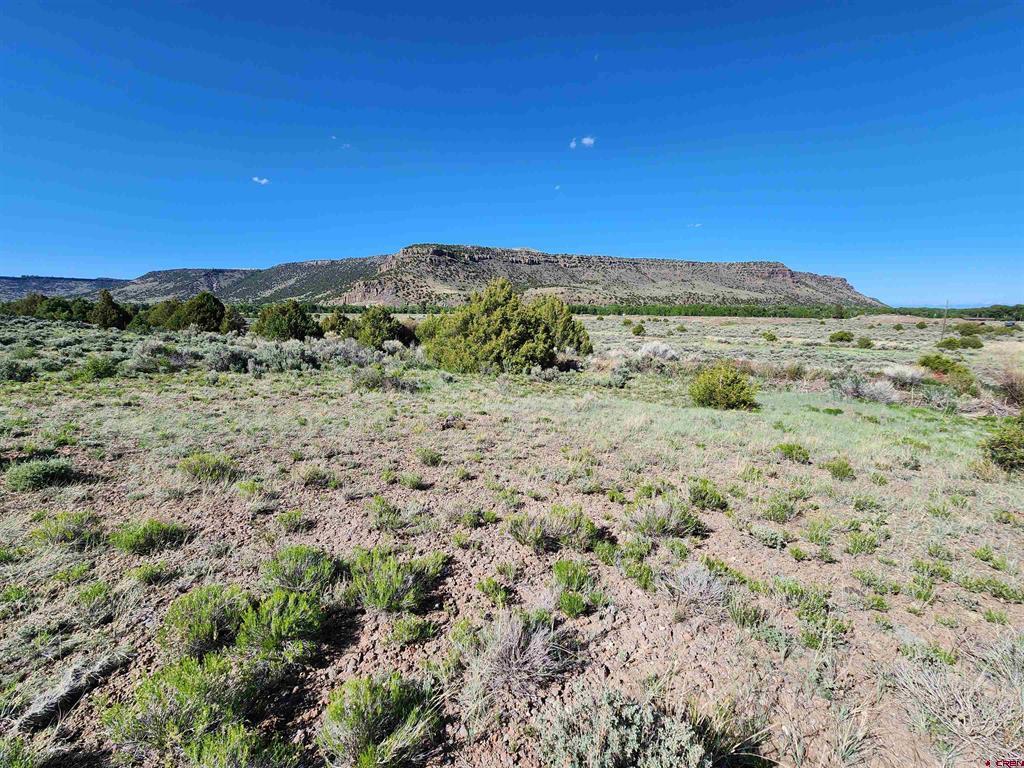 Photo 1 of 5 — Lot 10 Conejos River Trails, Antonito, CO 81120