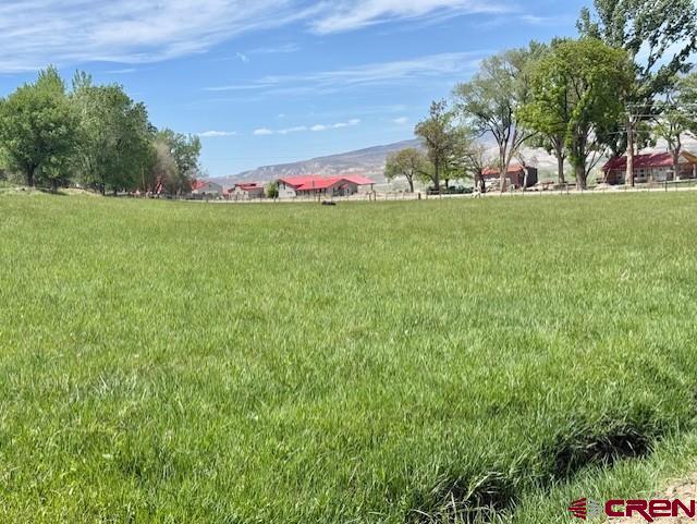 Delta, Colorado 81416, United States, 3 Bedrooms Bedrooms, ,2 BathroomsBathrooms,Residential,Active,128957