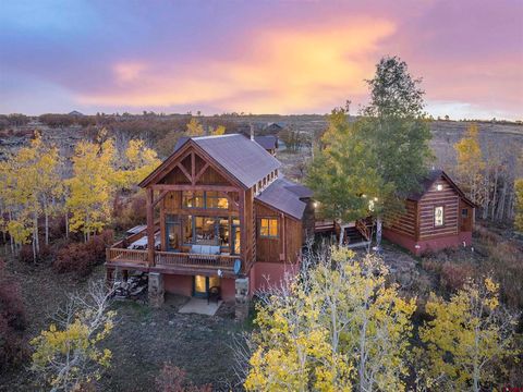 1036 Harcourt Trail Placerville CO 81430