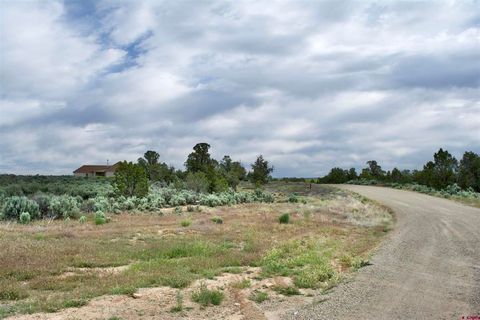 Lot 16 Road K.3 Cortez CO 81321