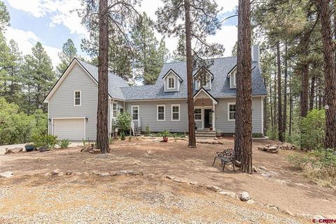 383 Eagle Pass Durango CO 81301