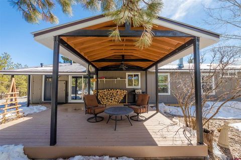 463 Chimney Drive Bayfield CO 81122
