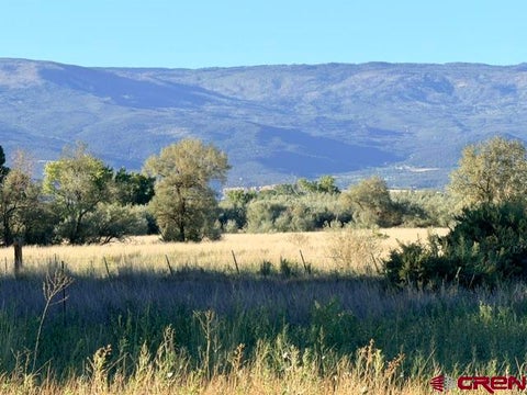 Photo of 9 Lahabra Drive, Austin, CO 81410 (MLS # 838884)