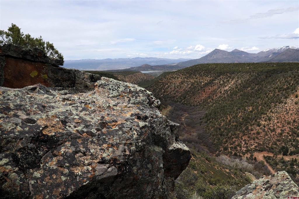 TBD BLM Road