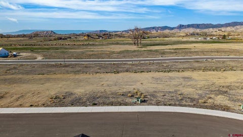Photo of 14 Ashberry Street, Montrose, CO 81401 (MLS # 838763)