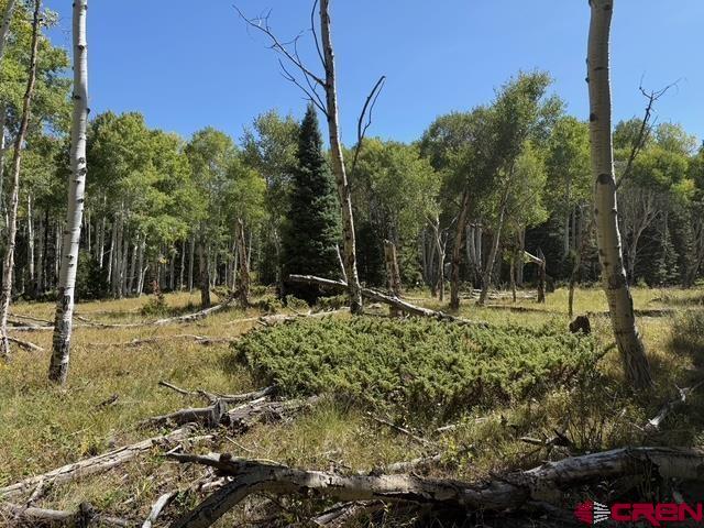 Photo 1 of 13 — 121 Ridge Road, Cimarron, CO 81220