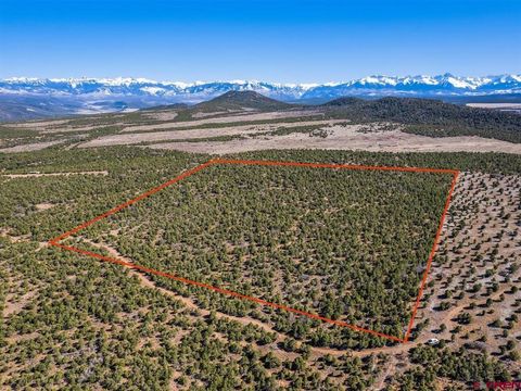 Photo of TBD Pinion Ridge Road, Montrose, CO 81403 (MLS # 835414)