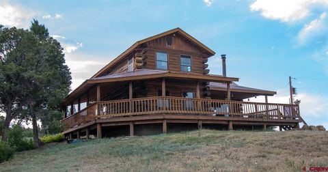 37875 Hwy 184 Mancos CO 81328