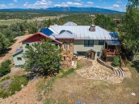 11555 Road 39 Mancos CO 81328