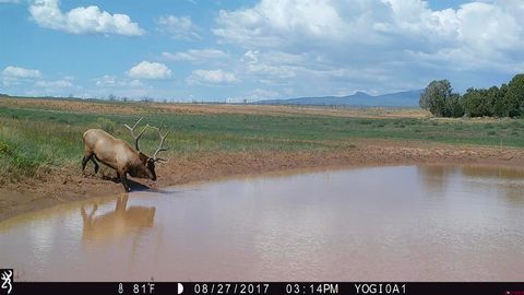 000 Akati Gulch Road Hesperus CO 81326