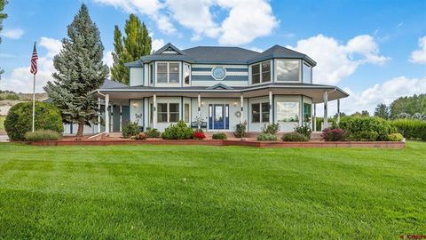 59285 Lotus Court Montrose CO 81403