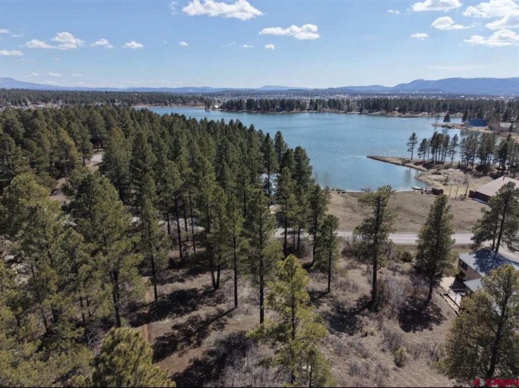1318 Cloud Cap Avenue - Photo 3
