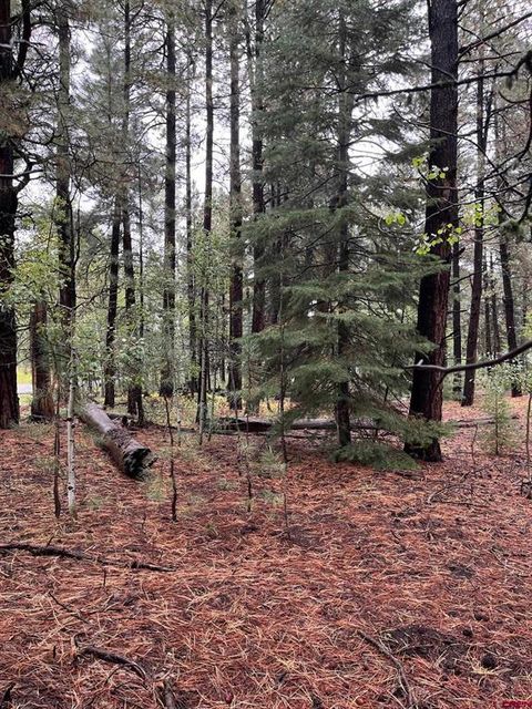 47 Deer Trail Lane Vallecito Lake/Bayfield CO 81122