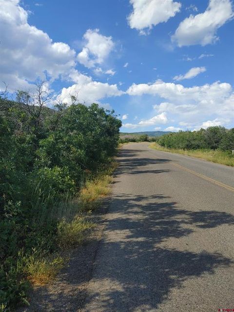 Photo of 21501 Surface Creek Road, Cedaredge, CO 81413 (MLS # 832061)