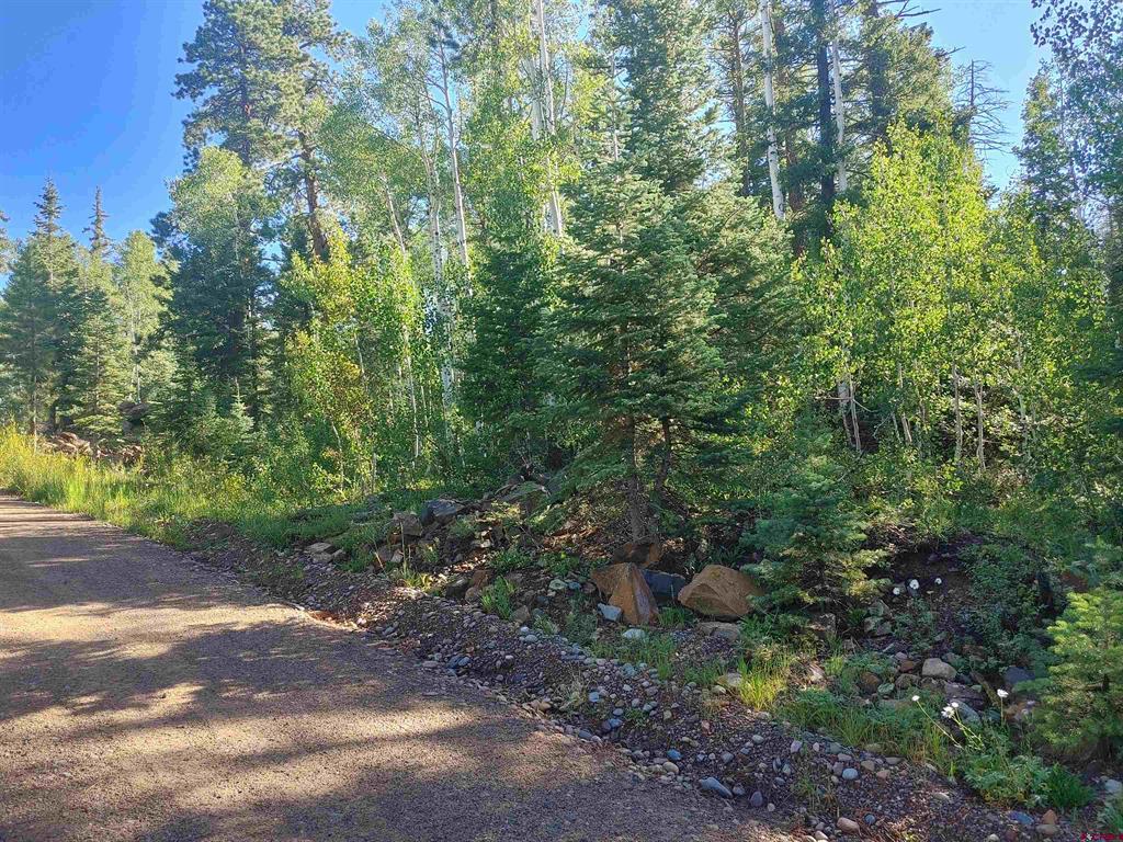 122 Ponderosa Way