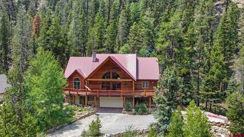 1463 County Road 744 Almont CO 81210