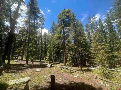 TBD Evenden Pitkin CO 81241