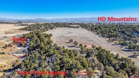 TBD CR 509 Bayfield CO 81122