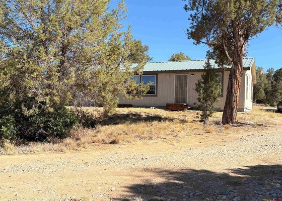 333 COW CANYON RD, IGNACIO, CO 81137 - Image b4b9ffc932ecbbd5d72c2ef2170bed93/1858811983