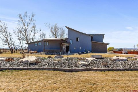 Photo of 2192 Odelle Road, Montrose, CO 81401 (MLS # 833069)