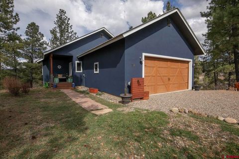 58 Glenwood Court Pagosa Springs CO 81147