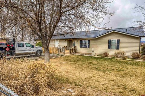Photo of 14473 Deer Run Rd, Delta, CO 81416 (MLS # 832306)