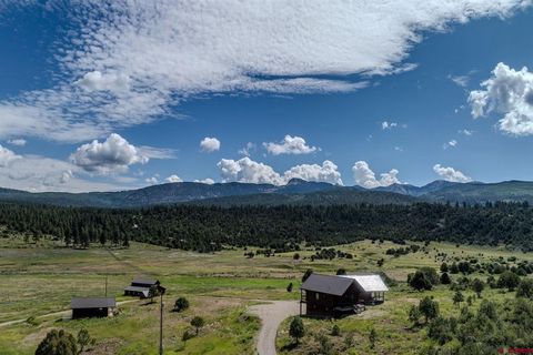 44501 Hwy 160 Mancos CO 81328
