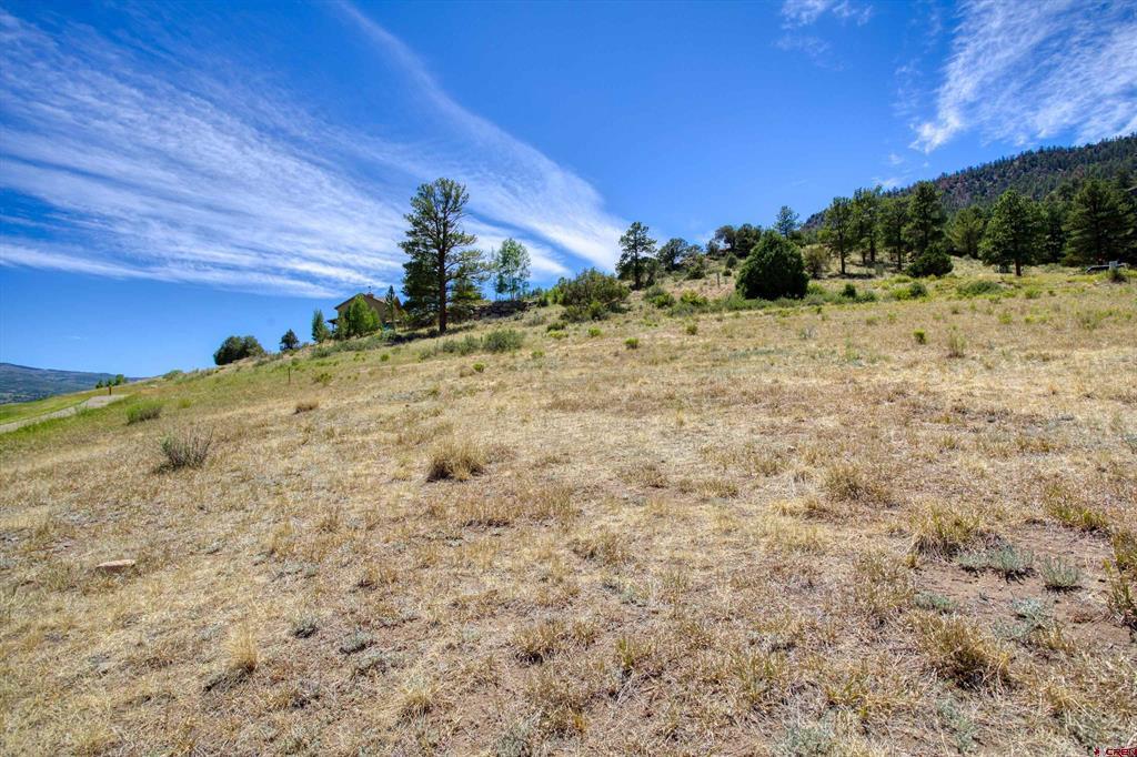 472 Rio Grande Club Trail - Photo 4