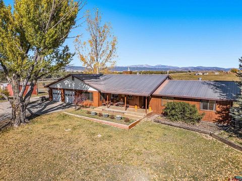 63 CR 217 Durango CO 81303