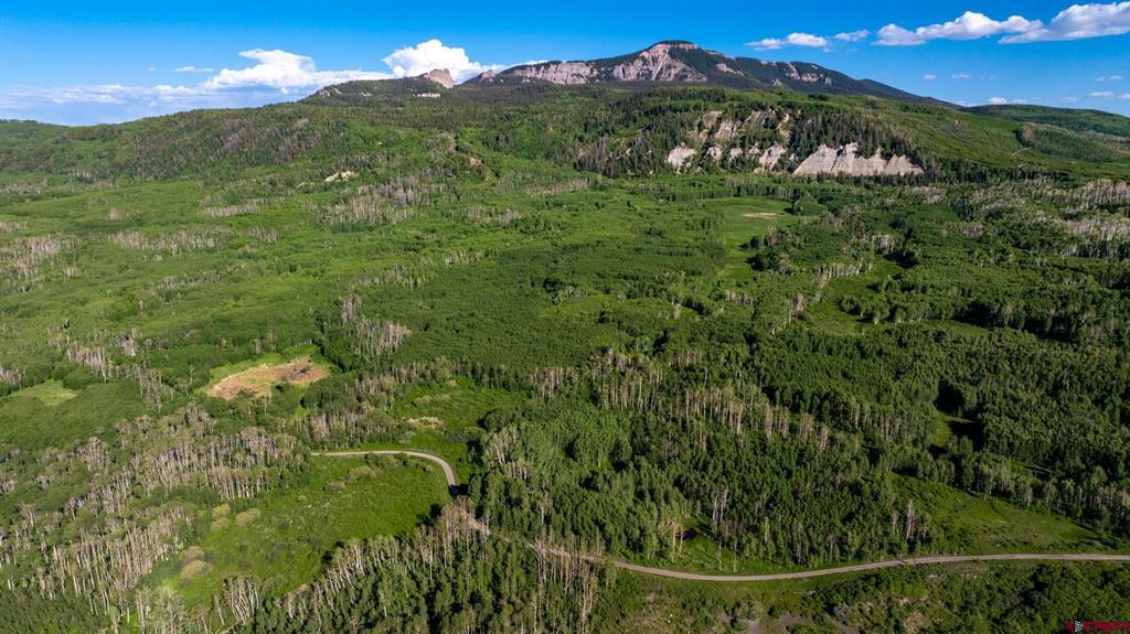 TBD Wapiti Trail
