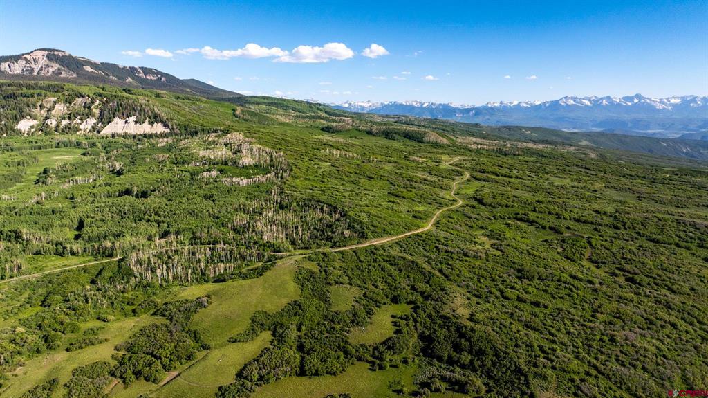 TBD Wapiti Trail