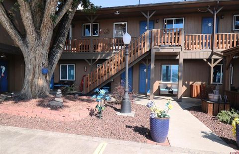 885 S Grand Mesa Drive Cedaredge CO 81413